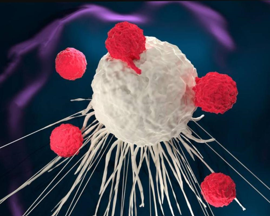 پرداختن به چالش‌های درمان با سلول T دارای گیرنده آنتی‌ژن کایمریک 